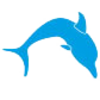 Delphin Delphin
